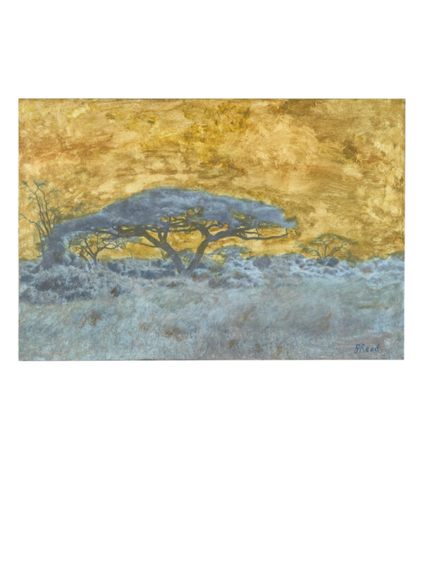 Tree silhouette against a golden sky.