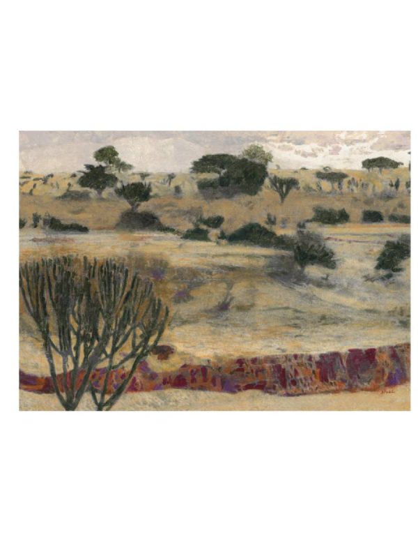Desert landscape with trees and shrubs.